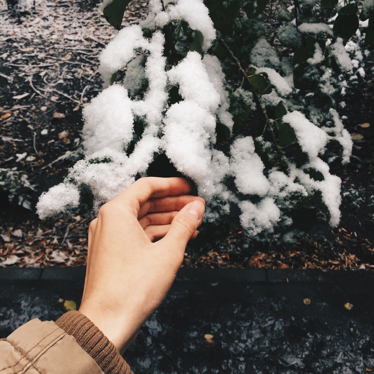 Снег в руках