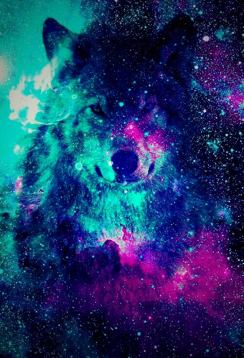 Freetoedit Galaxy Wolf Hipster Image By Holley